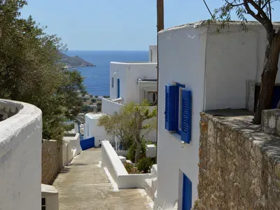 Argassi